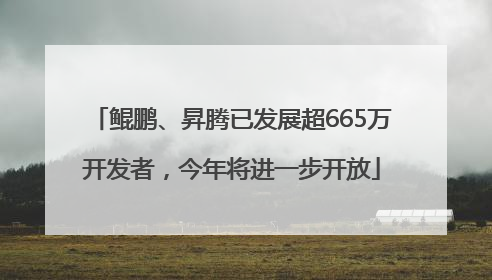 鲲鹏、昇腾已发展超665万开发者，今年将进一步开放