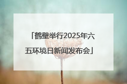 鹤壁举行2025年六五环境日新闻发布会
