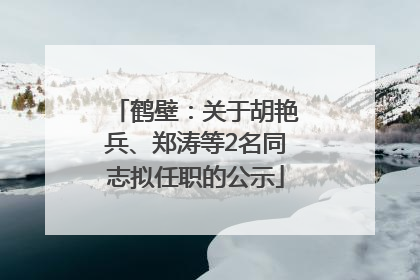 鹤壁：关于胡艳兵、郑涛等2名同志拟任职的公示