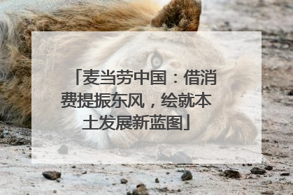 麦当劳中国：借消费提振东风，绘就本土发展新蓝图