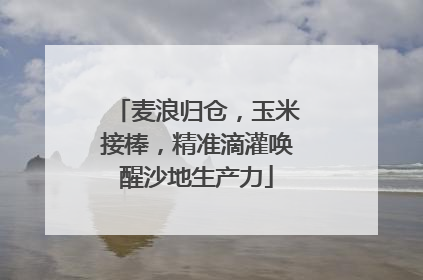 麦浪归仓，玉米接棒，精准滴灌唤醒沙地生产力