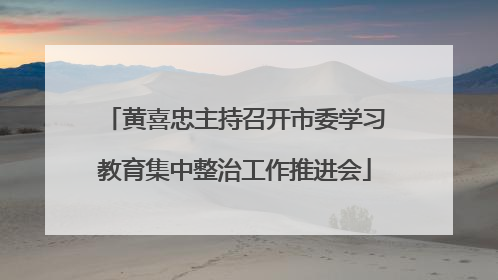 黄喜忠主持召开市委学习教育集中整治工作推进会