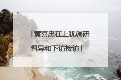 黄喜忠在上犹调研督导和下访接访