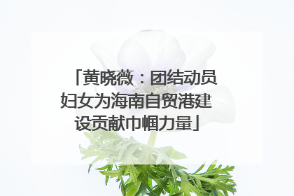 黄晓薇：团结动员妇女为海南自贸港建设贡献巾帼力量