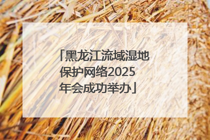黑龙江流域湿地保护网络2025年会成功举办