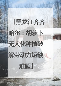 黑龙江齐齐哈尔：胡萝卜无人化种植破解劳动力短缺难题