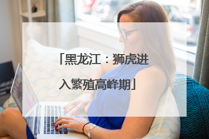 黑龙江：狮虎进入繁殖高峰期