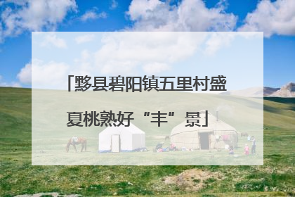 黟县碧阳镇五里村盛夏桃熟好“丰”景