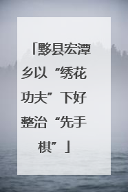 黟县宏潭乡以“绣花功夫”下好整治“先手棋”