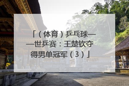 （体育）乒乓球——世乒赛：王楚钦夺得男单冠军（3）