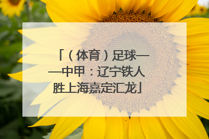 （体育）足球——中甲：辽宁铁人胜上海嘉定汇龙
