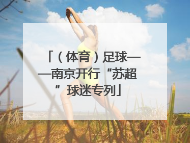 （体育）足球——南京开行“苏超”球迷专列