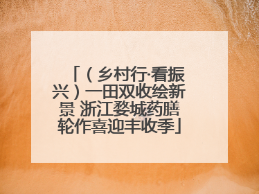 （乡村行·看振兴）一田双收绘新景 浙江婺城药膳轮作喜迎丰收季