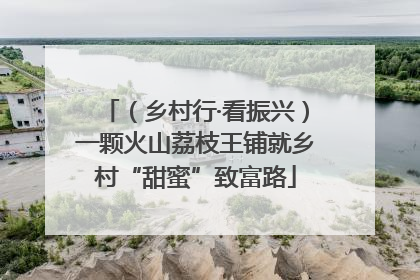 （乡村行·看振兴）一颗火山荔枝王铺就乡村“甜蜜”致富路