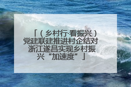 （乡村行·看振兴）党建联建推进村企结对 浙江遂昌实现乡村振兴“加速度”