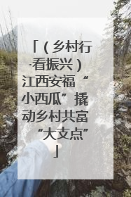 （乡村行·看振兴）江西安福“小西瓜”撬动乡村共富“大支点”