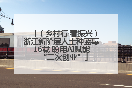 （乡村行·看振兴）浙江新阶层人士种蓝莓16载 盼用AI赋能“二次创业”