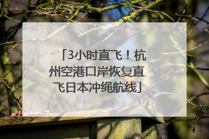 3小时直飞！杭州空港口岸恢复直飞日本冲绳航线