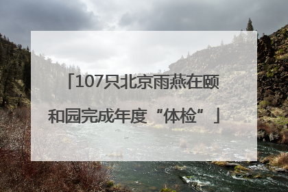 107只北京雨燕在颐和园完成年度“体检”