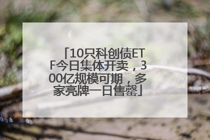 10只科创债ETF今日集体开卖，300亿规模可期，多家亮牌一日售罄