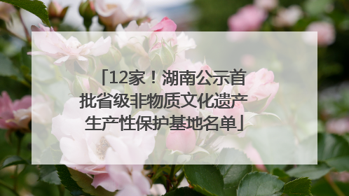 12家！湖南公示首批省级非物质文化遗产生产性保护基地名单