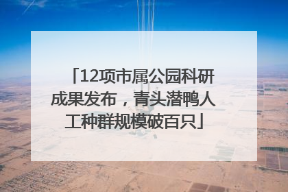 12项市属公园科研成果发布，青头潜鸭人工种群规模破百只