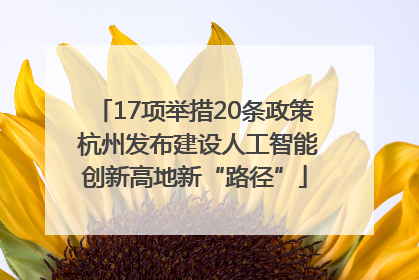 17项举措20条政策 杭州发布建设人工智能创新高地新“路径”