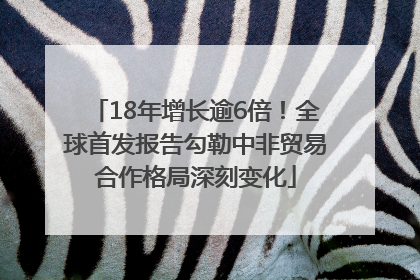 18年增长逾6倍！全球首发报告勾勒中非贸易合作格局深刻变化