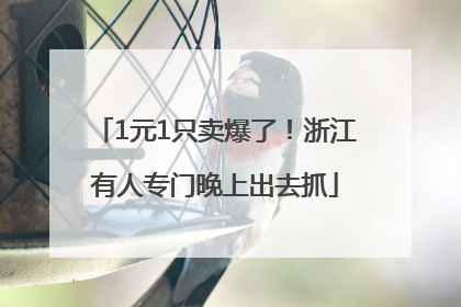 1元1只卖爆了！浙江有人专门晚上出去抓