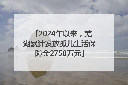 2024年以来，芜湖累计发放孤儿生活保障金2758万元
