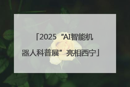 2025“AI智能机器人科普展”亮相西宁