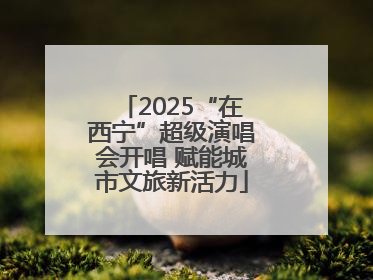 2025“在西宁”超级演唱会开唱 赋能城市文旅新活力