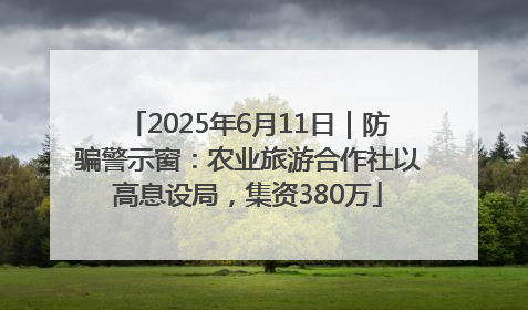 2025年6月11日｜防骗警示窗：农业旅游合作社以高息设局，集资380万