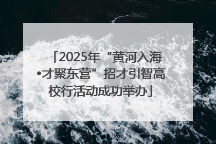 2025年“黄河入海•才聚东营”招才引智高校行活动成功举办