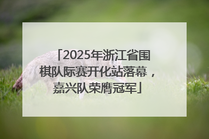 2025年浙江省围棋队际赛开化站落幕，嘉兴队荣膺冠军