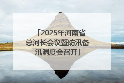 2025年河南省总河长会议暨防汛备汛调度会召开