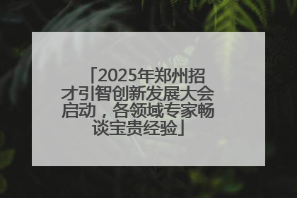 2025年郑州招才引智创新发展大会启动，各领域专家畅谈宝贵经验