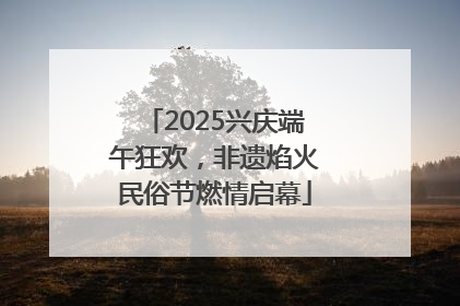 2025兴庆端午狂欢，非遗焰火民俗节燃情启幕