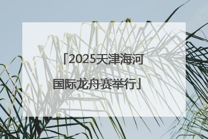 2025天津海河国际龙舟赛举行