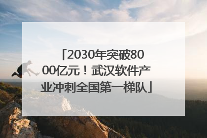 2030年突破8000亿元！武汉软件产业冲刺全国第一梯队