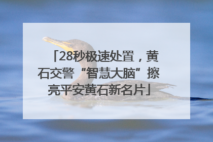 28秒极速处置，黄石交警“智慧大脑”擦亮平安黄石新名片