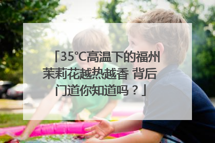 35℃高温下的福州茉莉花越热越香 背后门道你知道吗？