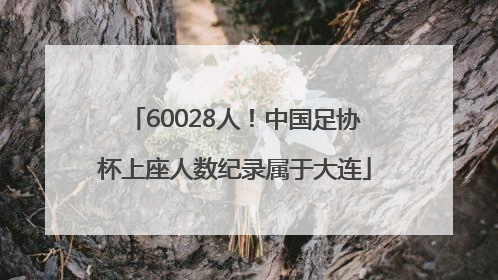 60028人！中国足协杯上座人数纪录属于大连