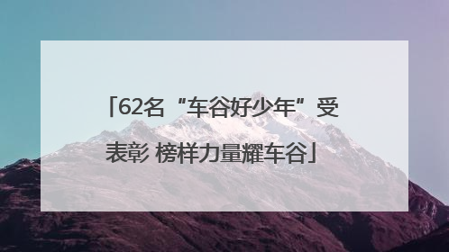 62名“车谷好少年”受表彰 榜样力量耀车谷