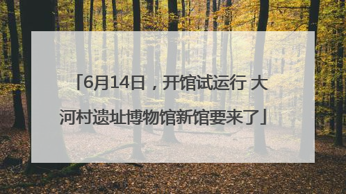 6月14日，开馆试运行 大河村遗址博物馆新馆要来了