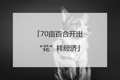70亩百合开出“花”样经济