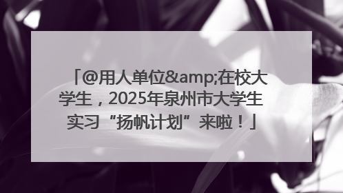 @用人单位&在校大学生，2025年泉州市大学生实习“扬帆计划”来啦！