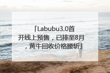 Labubu3.0首开线上预售，已排至8月，黄牛回收价格腰斩